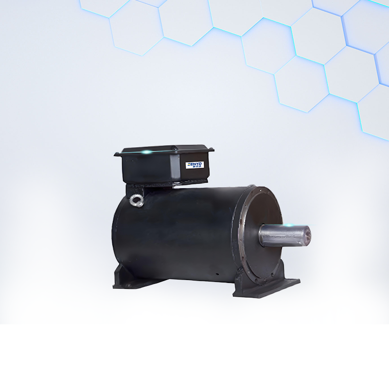 SYD大力矩电机BTH1